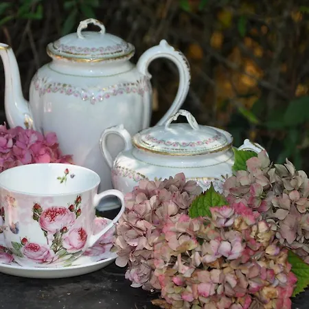 Bed & Breakfast La Maison De Rose *