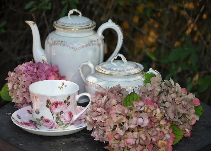 Panzió La Maison De Rose *