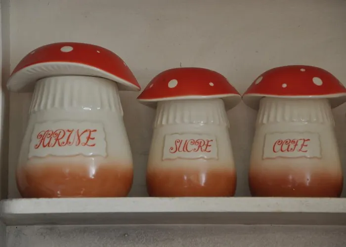 Panzió La Maison De Rose *