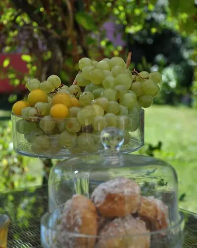 Panzió La Maison De Rose *